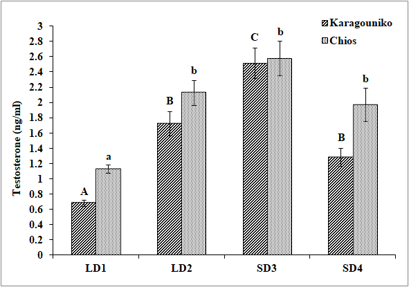 Effect of season on testosterone concentration of Karagouniko and Chios sheep. In each column, the bar on it represents the standard error of the mean (n=16). Different letters above columns indicate significant differences between the respective means, separately for Karagouniko sheep (upper case letters) and Chios sheep (lower case letters) at P ≤ 0.05 after Bonferroni correction.