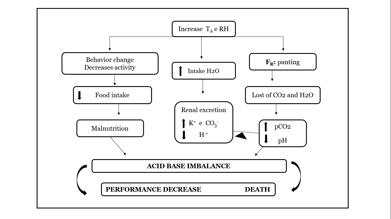 Representative diagram of the physiological responses of birds to heat stress. Source: Borges et al (2003).