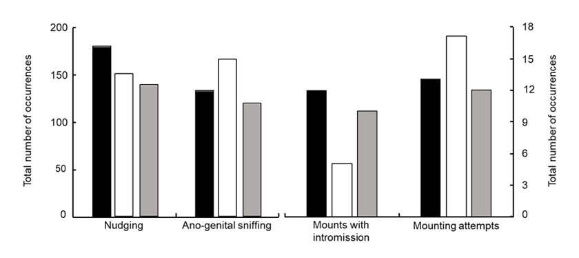 Sexual behavior of photo-stimulated bucks exposed to sexually experienced  females (black bar), with restricted sexual experience (white bar), and sexually inexperienced (gray bar). Sexual behavior of bucks was recorded the first 3 days of contact with females. Bucks were subjected to artificially long days (16 h of light and 8 h of darkness per day) for 2.5 months from 1 November to 15 January, after which they were held under natural photoperiod conditions.
