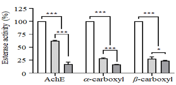 Intake of S. mammosum fruit extract inhibits the activity of esterase on Drosophila. 