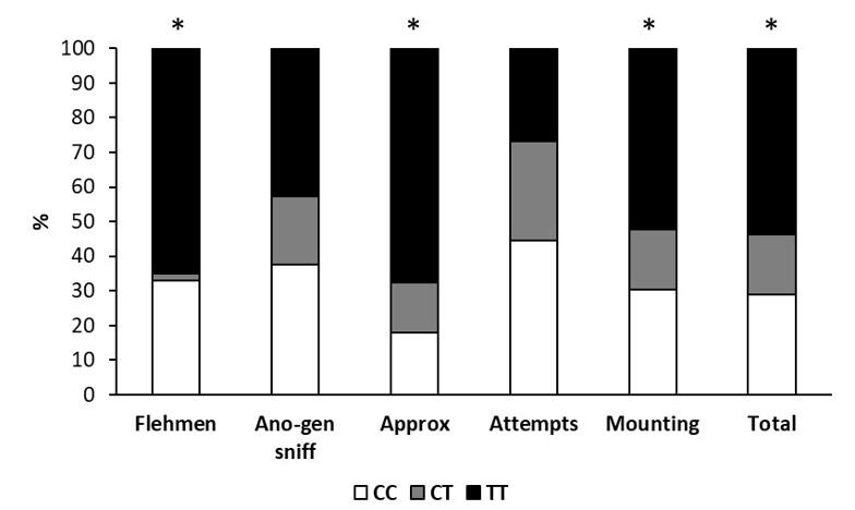 The proportion of flehmen, anogenital sniffing, approaches to the females, attempts of mounting, mountings, and total number of recorded events by Rasa Aragonesa rams carrying the Rsal (CC, CT, or TT) or Mnll (GG, GA, or AA) polymorphism of the MTNR1A gene, in a serving capacity test, individually exposed to three estrous ewes in a 15-m2 pen for 20 min (*indicates P < 0.05).