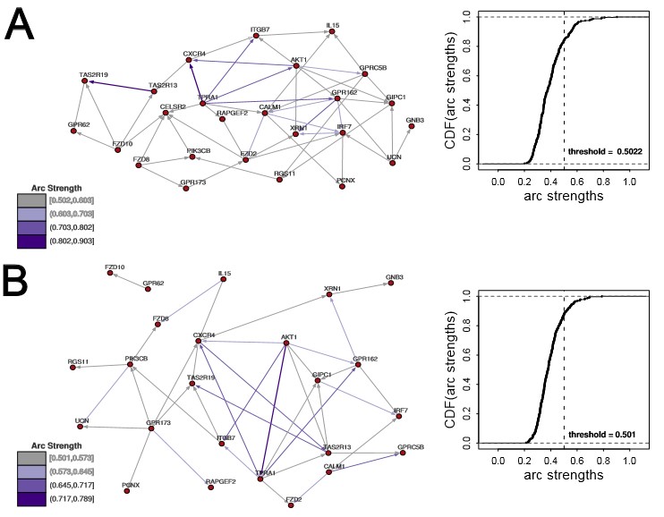 Redes Bayesianas do perfil pró-inflamatório e anti-inflamatório pós-IAM